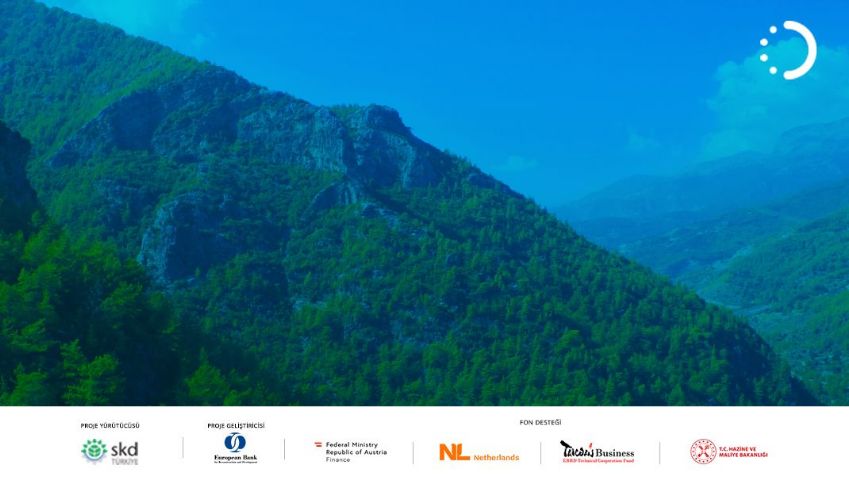 Türkiye’de Düşük Karbonlu ve Döngüsel bir Ekonomik Toparlanma İçin İşbirliği Çağrısı