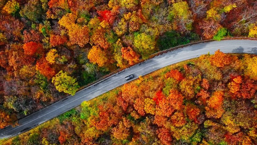 Döngüsel Geçiş Göstergeleri Raporu Yayında!