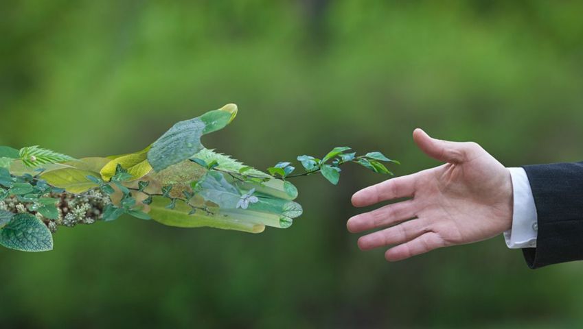 13. Malzeme Alışverişi Gerçekleşti