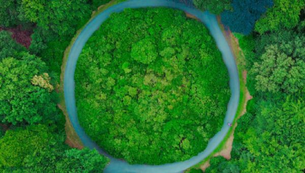 Döngüsellik Boşluk Analizi Raporu 2023 Yayımlandı