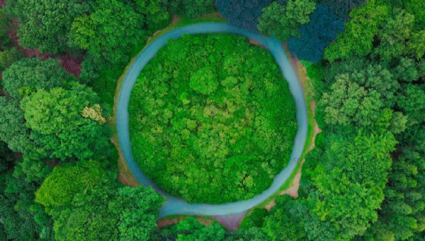 Firmalar için Ön Değerlendirme Desteği