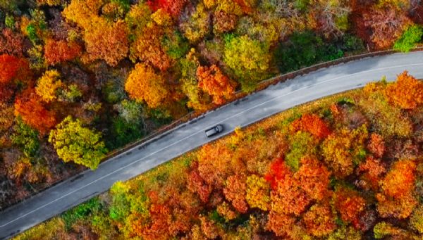 Döngüsel Geçiş Göstergeleri Raporu