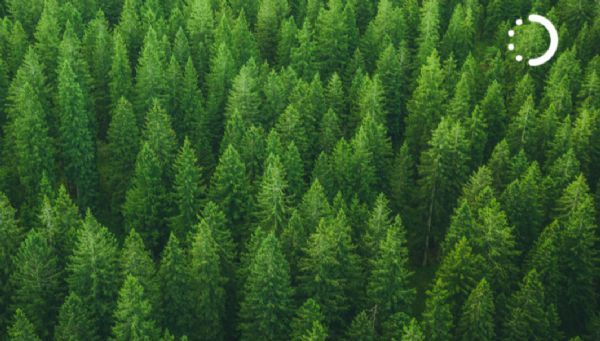 Döngüsel Ekonomi Nedir?