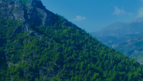 Türkiye’de Düşük Karbonlu ve Döngüsel bir Ekonomik Toparlanma İçin İşbirliği Çağrısı