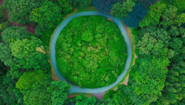 Ön Değerlendirme Desteği Sektör Uzmanı İlanı