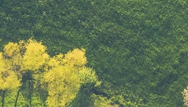 7. ve 8. Atık Alışverişleri Gerçekleşti