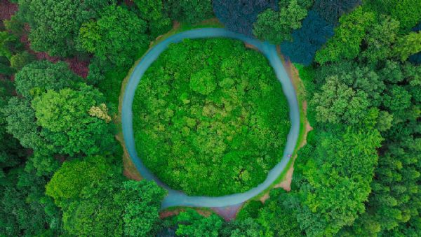 Döngüsel ekonomi nedir?